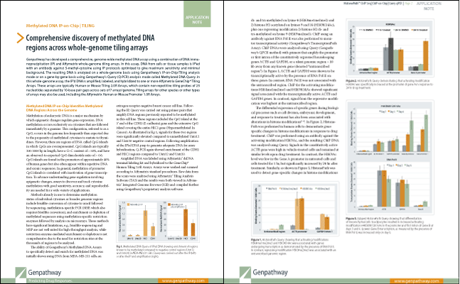 Genpathway M2Friend